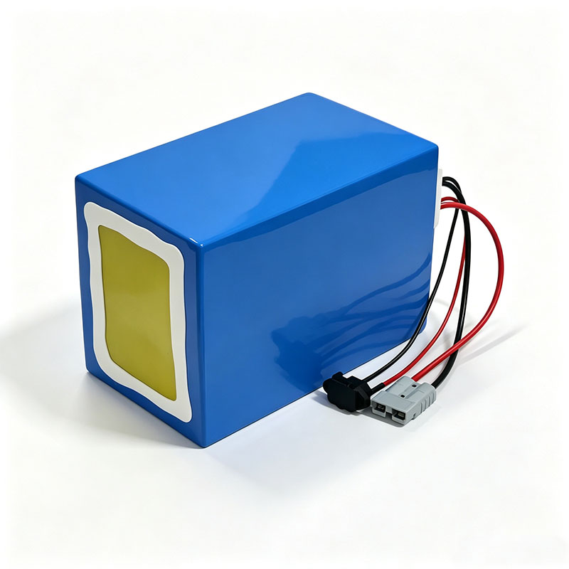 リチウム LiFePO4 72V 50Ah 60Ah 40A - 72V 40Ah Lifepo4 Battery Pack のレビューと価格