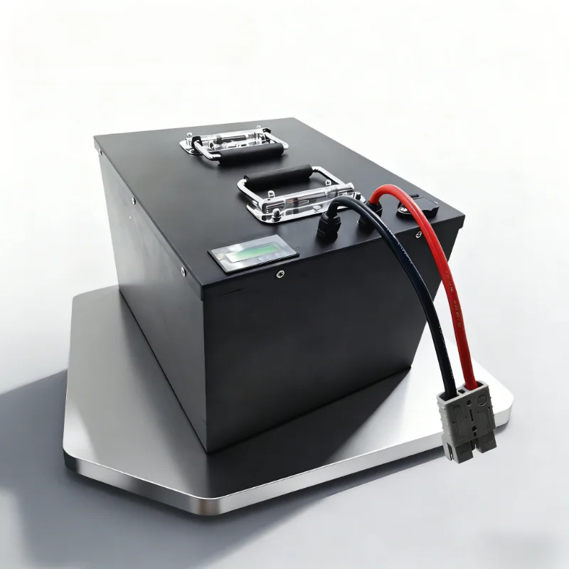 24S 72V 40Ah LiFePO4 バッテリーパック（ - 72V 40Ah Lifepo4 Battery Pack のレビューと価格